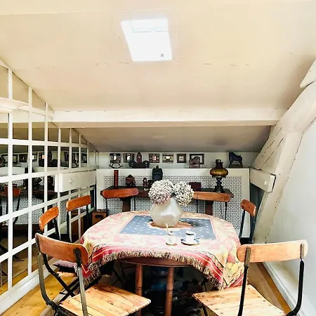 Magnificent Duplex With Terrace Near St Germain Apartment *